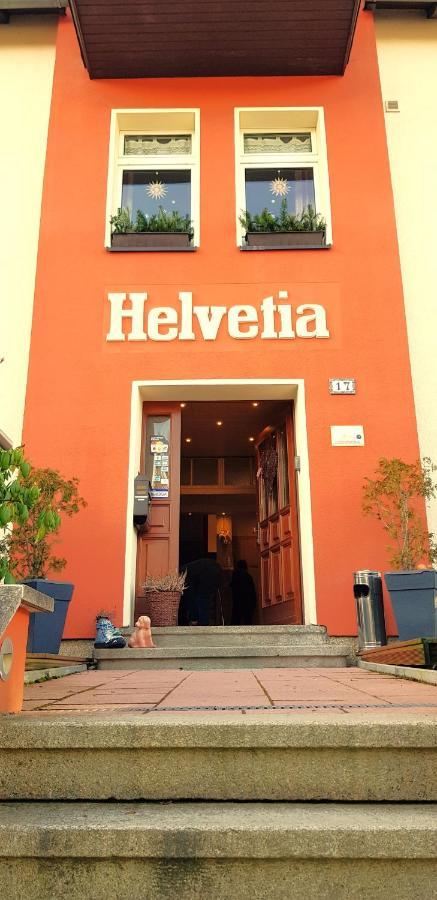 Villa Helvetia Bad Elster Buitenkant foto