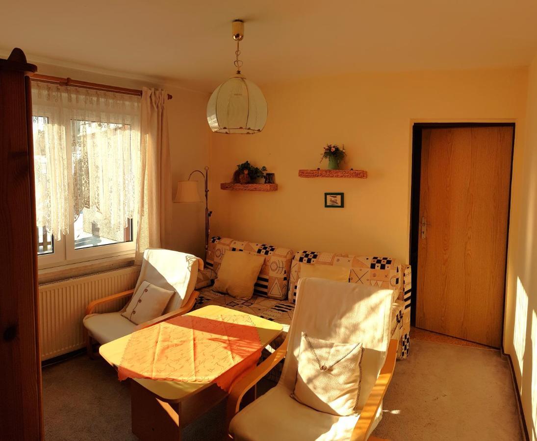 Villa Helvetia Bad Elster Buitenkant foto