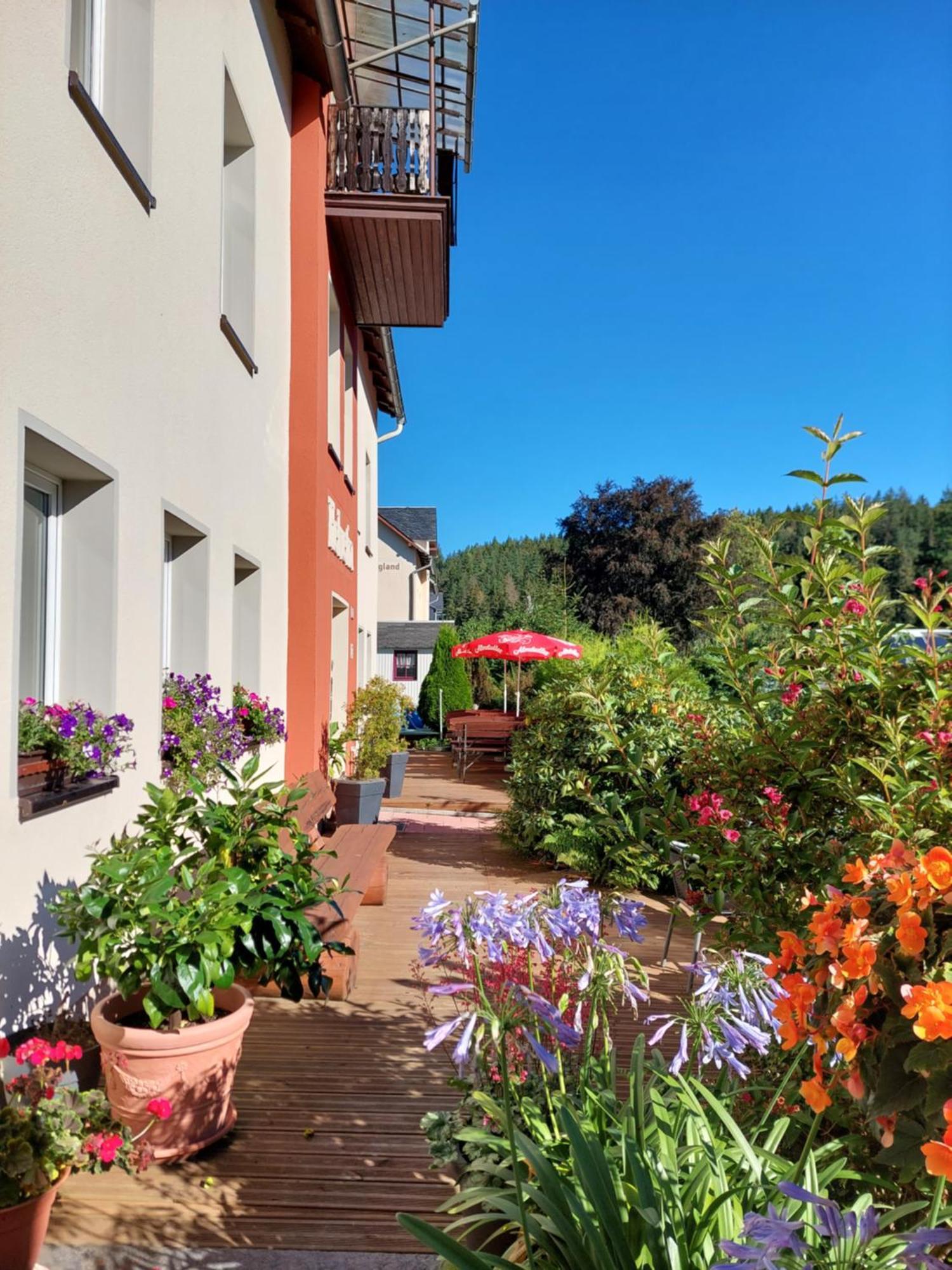 Villa Helvetia Bad Elster Buitenkant foto