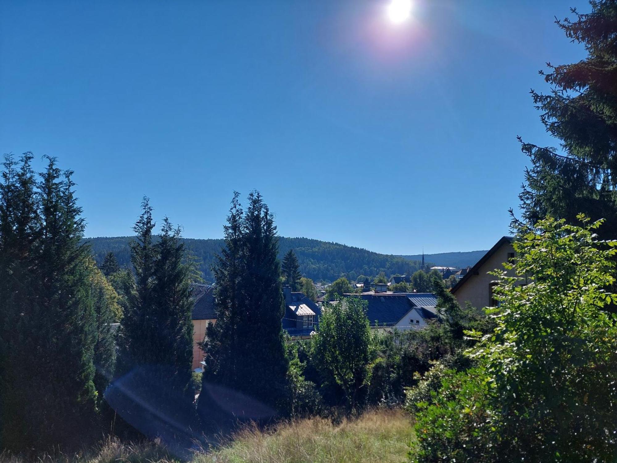 Villa Helvetia Bad Elster Buitenkant foto