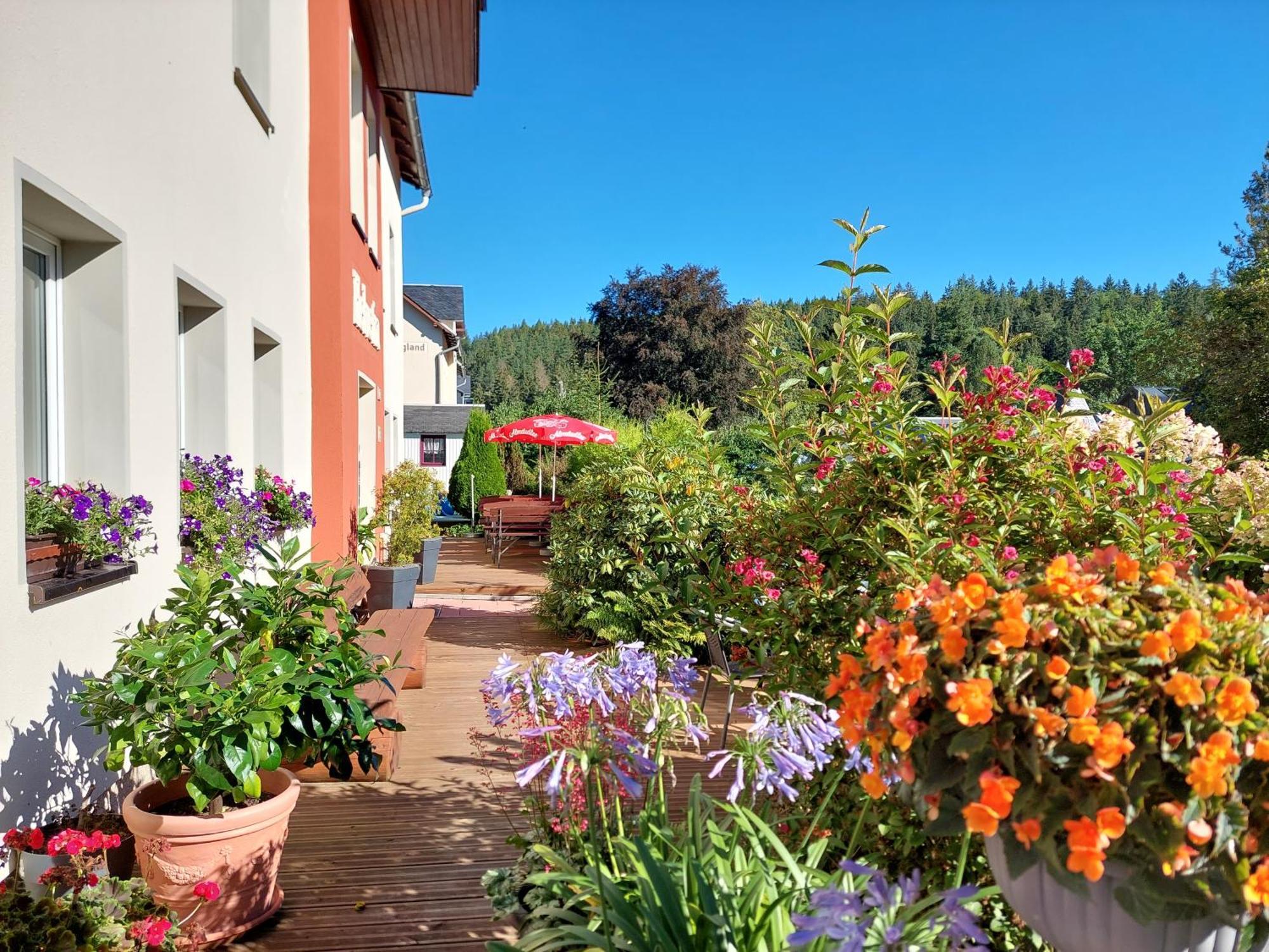 Villa Helvetia Bad Elster Buitenkant foto